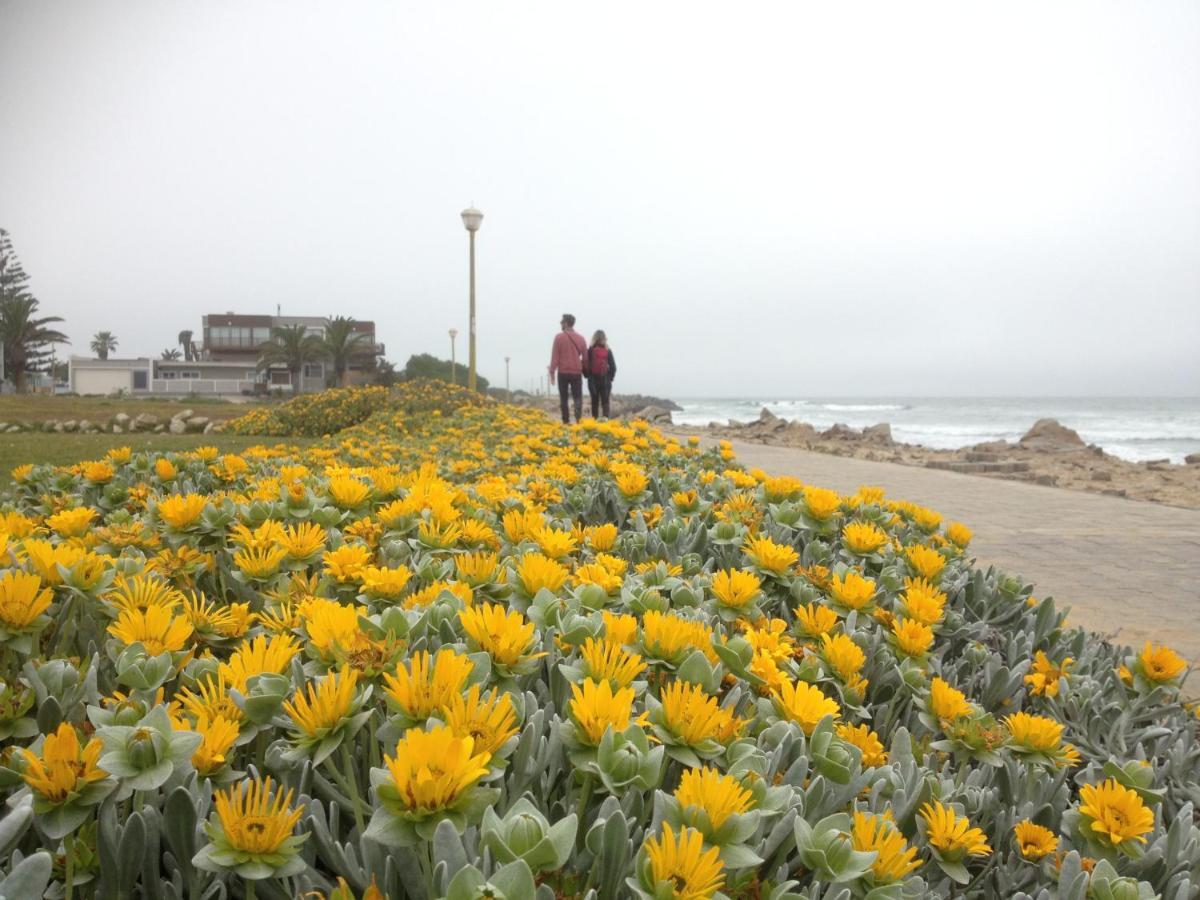 Ocean Melody Apartment Swakopmund Exterior photo